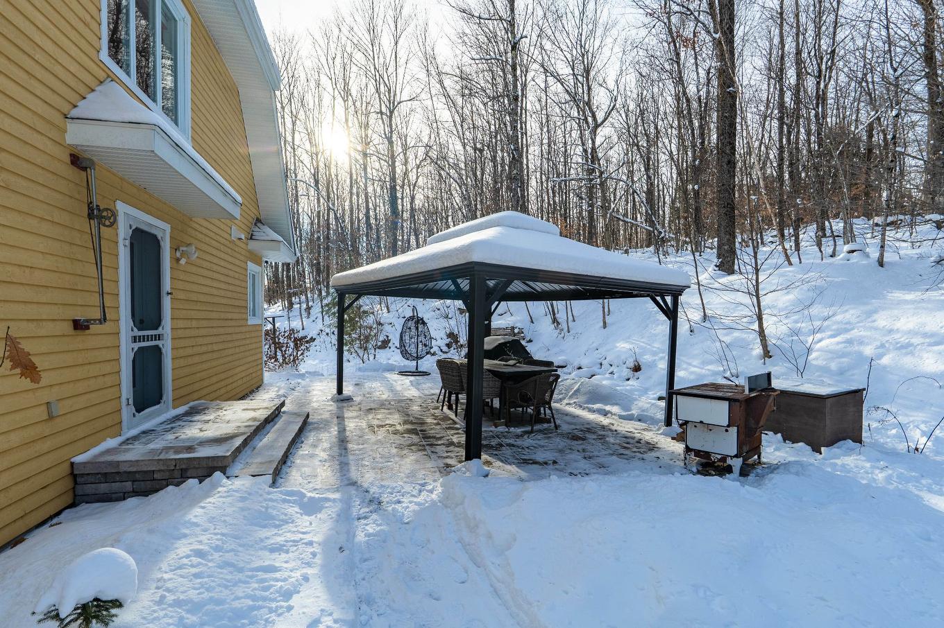 Exterior - 2270 Ch. Deschesne, Saint-Denis-De-Brompton, QC - Outdoor