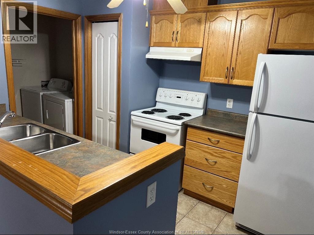4316 Tumbleweed Crescent, Windsor, ON - Indoor Photo Showing Kitchen With Double Sink