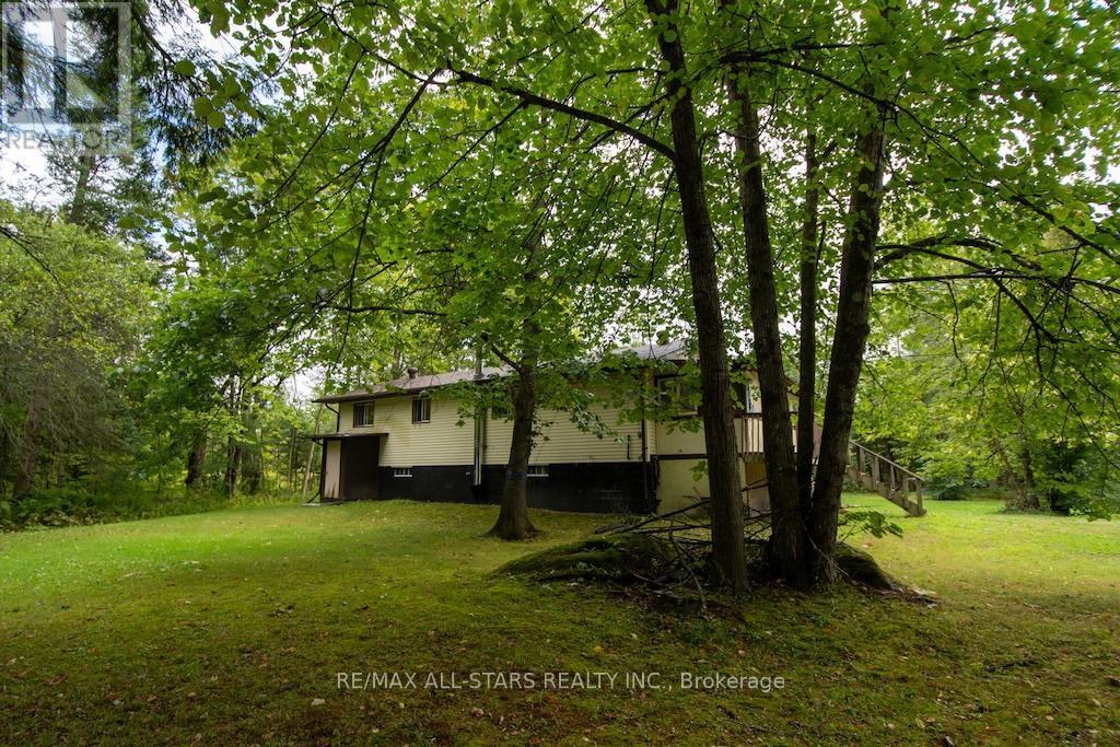 31 Morrison Street, Kawartha Lakes (Laxton/Digby/Longford), ON - Outdoor