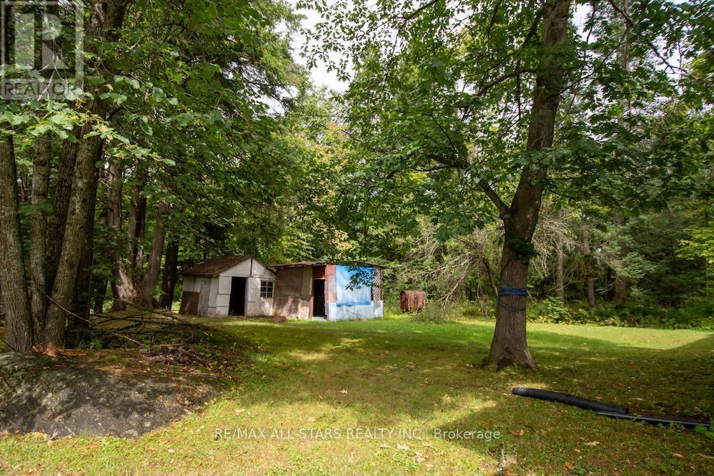 31 Morrison Street, Kawartha Lakes (Laxton/Digby/Longford), ON - Outdoor