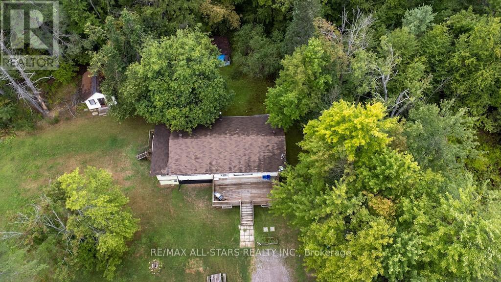 31 Morrison Street, Kawartha Lakes (Laxton/Digby/Longford), ON - Outdoor
