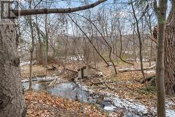 Walkers Creek behind the house -