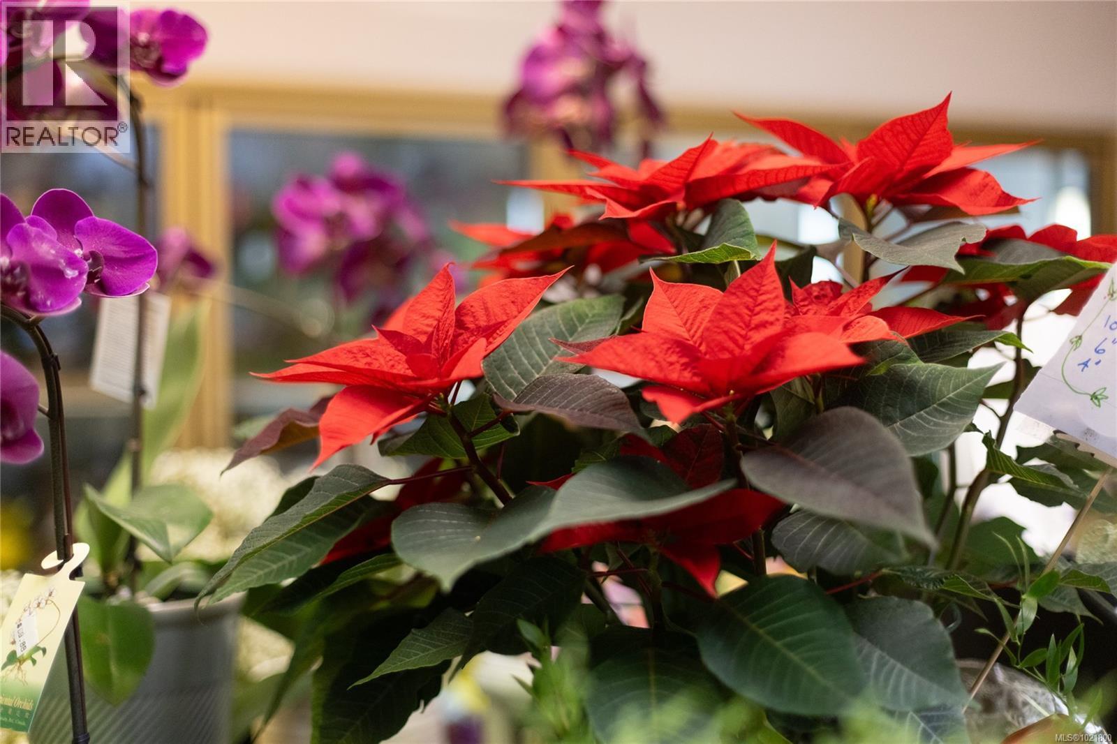 102 2187 Oak Bay Ave, Oak Bay, BC