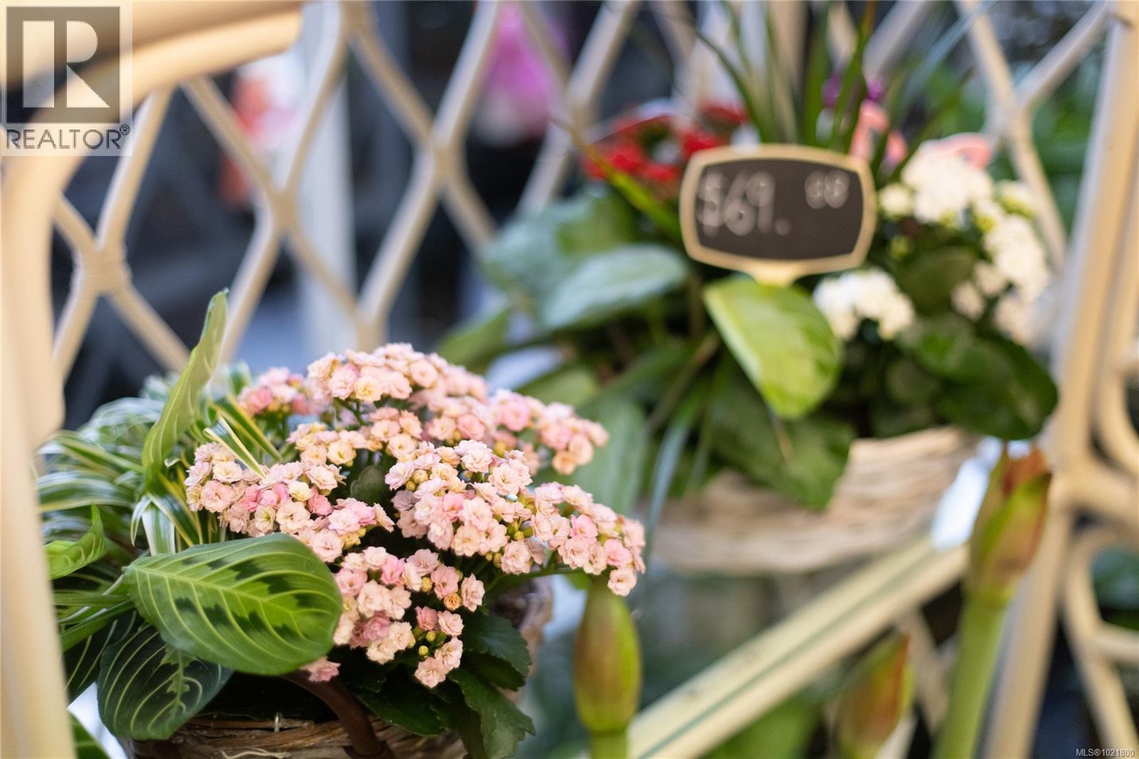 102 2187 Oak Bay Ave, Oak Bay, BC