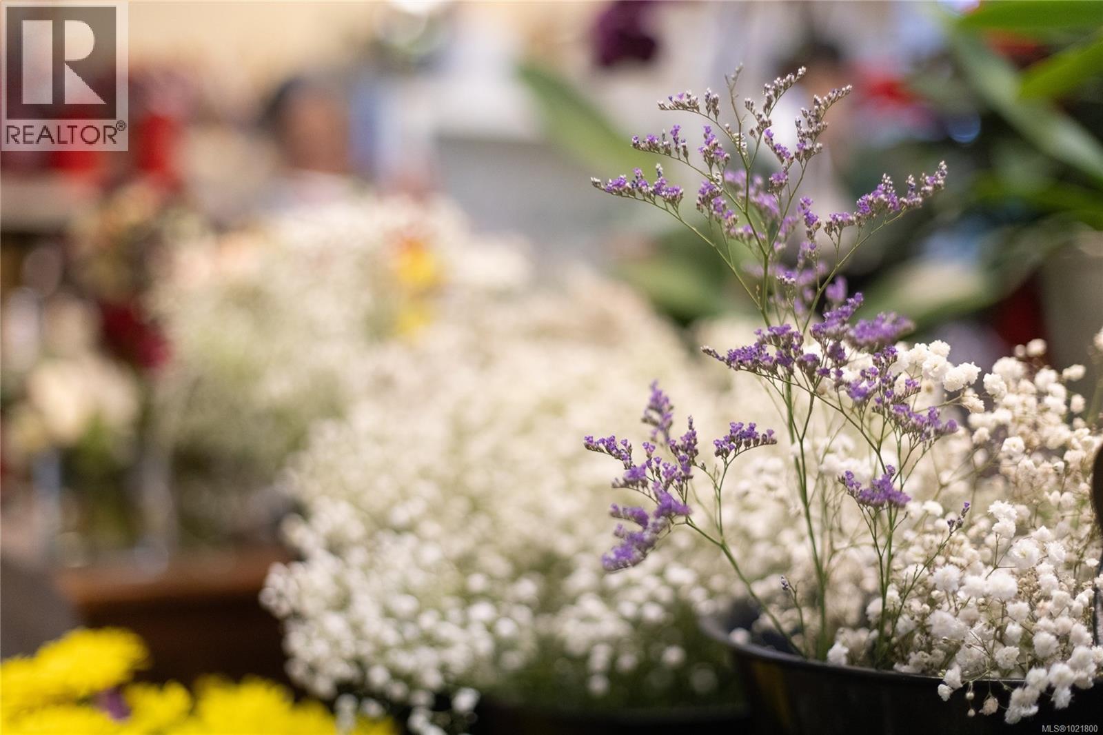 102 2187 Oak Bay Ave, Oak Bay, BC