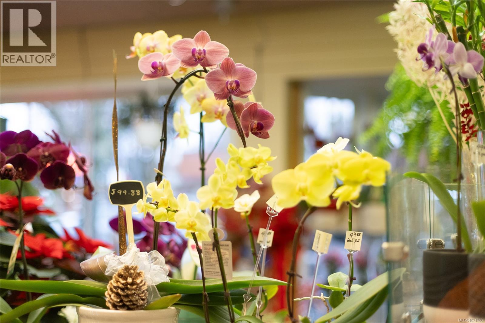 102 2187 Oak Bay Ave, Oak Bay, BC