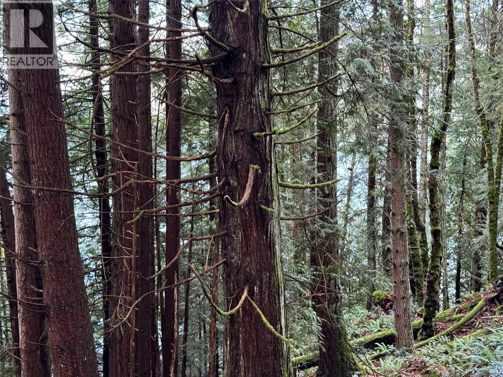 8843 Stoney Hill Rd, Duncan, BC