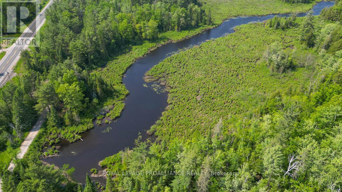 4 Wolf Lake Road, Madoc, ON