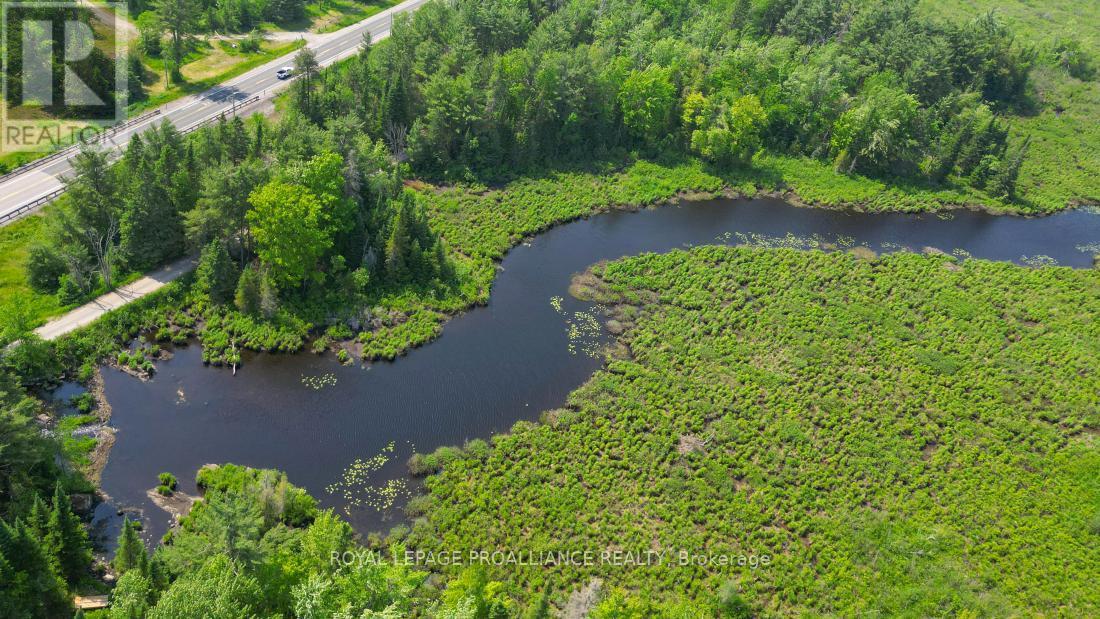 4 Wolf Lake Road, Madoc, ON