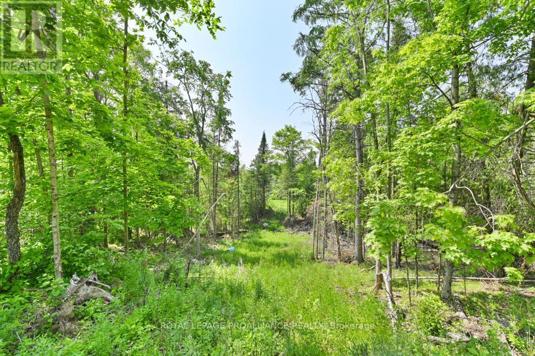 4 Wolf Lake Road, Madoc, ON