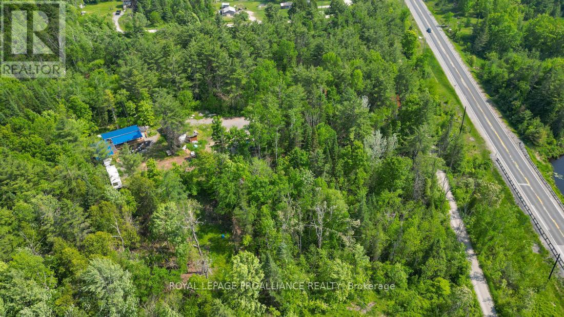 4 Wolf Lake Road, Madoc, ON