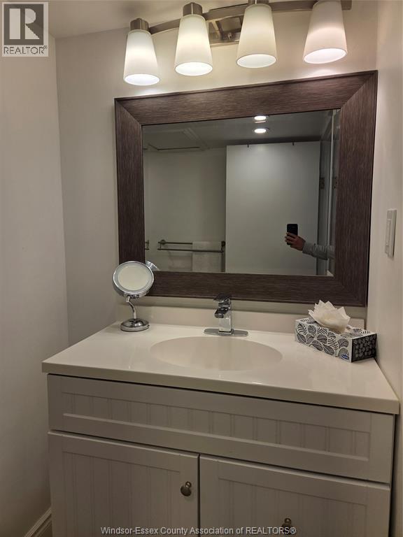 1665 Grand Marais Unit# Lower, Windsor, ON - Indoor Photo Showing Bathroom