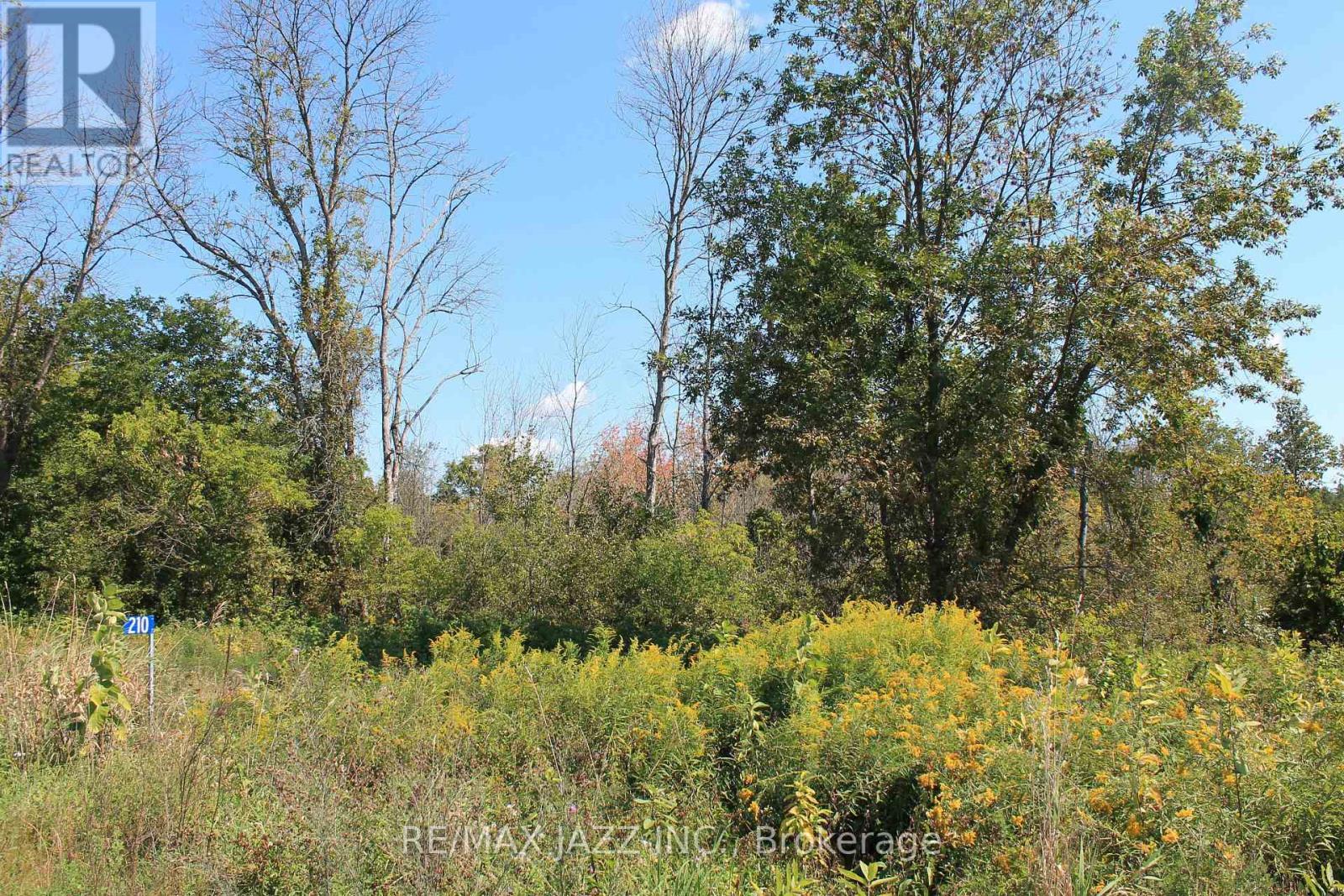 210 Skootamatta Lane, Tweed (Elzevir (Twp)), ON