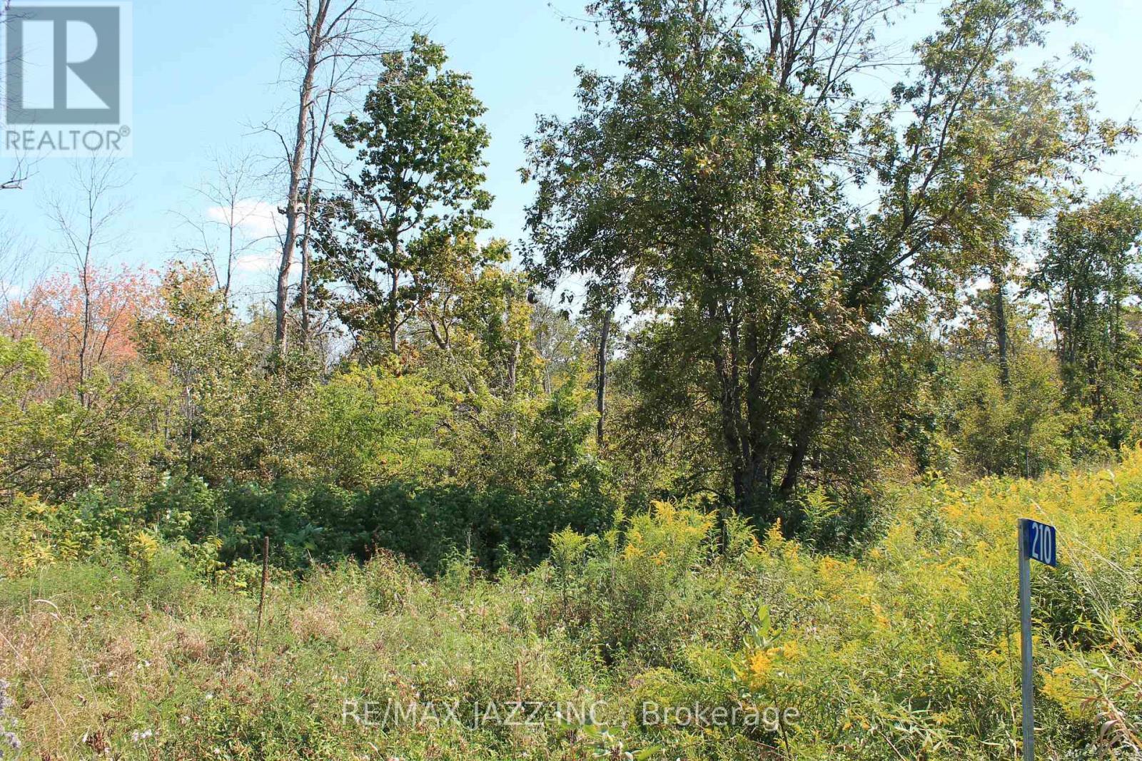 210 Skootamatta Lane, Tweed (Elzevir (Twp)), ON