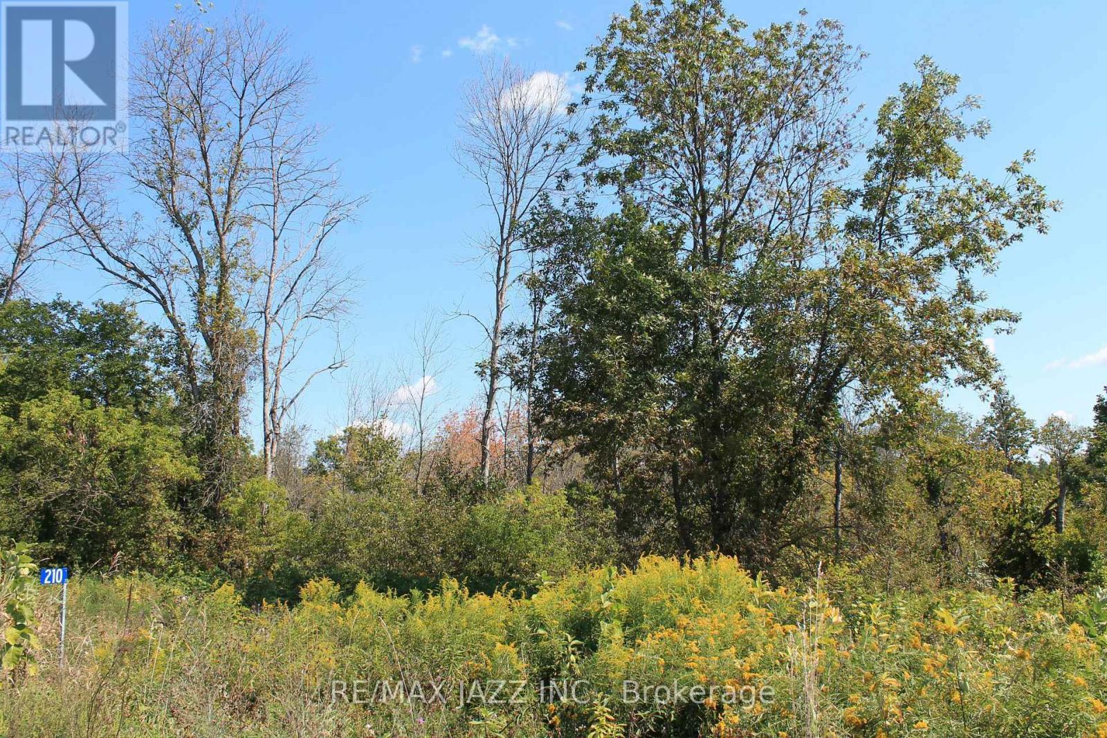 210 Skootamatta Lane, Tweed (Elzevir (Twp)), ON