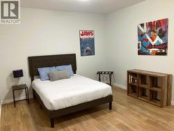 Bonus room in basement -