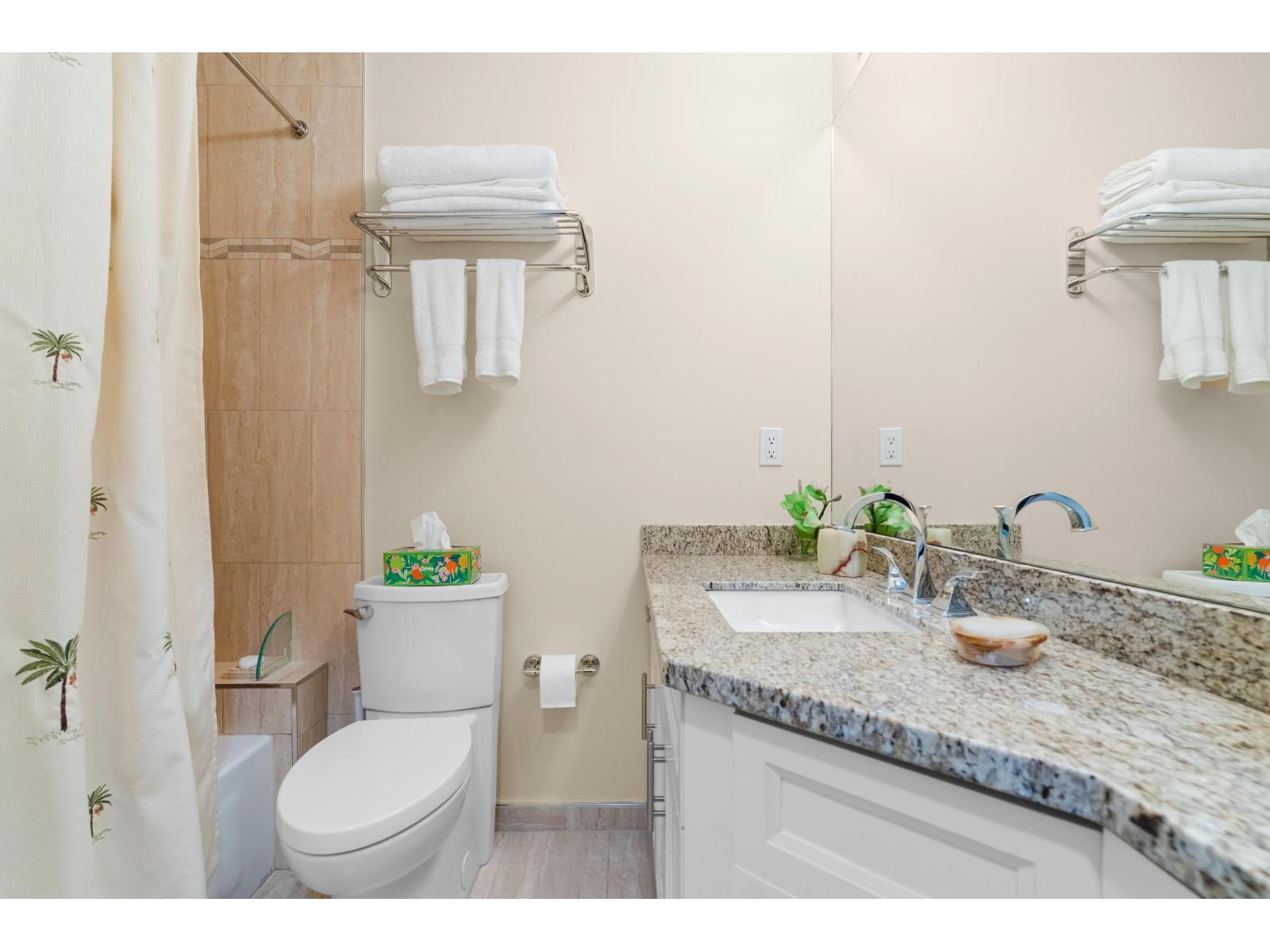 9253 203B Street, Langley, BC - Indoor Photo Showing Bathroom