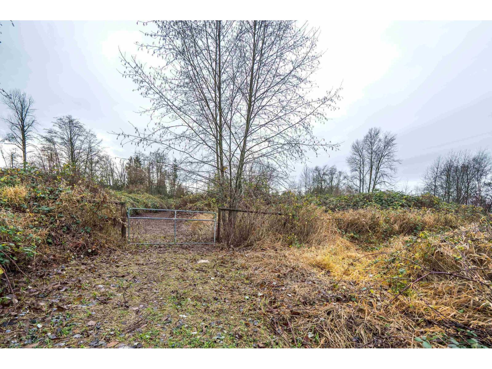 3011 184 Street, Surrey, BC - Outdoor With View