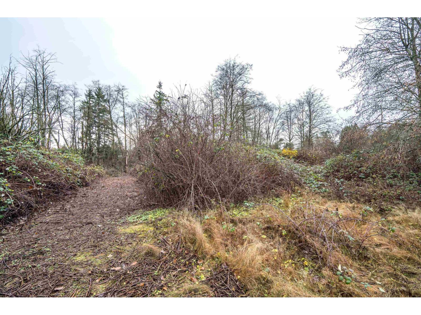 3011 184 Street, Surrey, BC - Outdoor With View