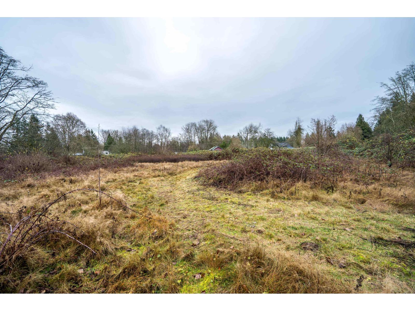 3011 184 Street, Surrey, BC - Outdoor With View