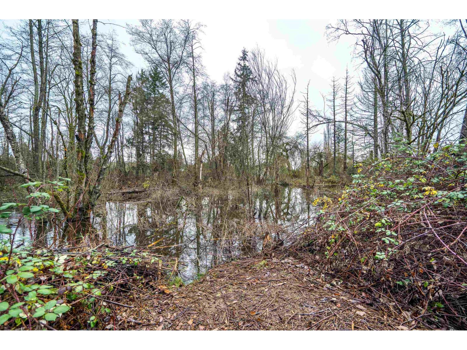 3011 184 Street, Surrey, BC - Outdoor With View