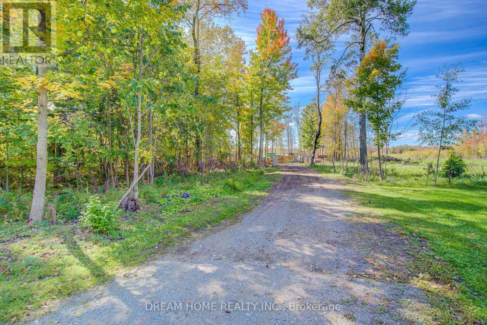 1119 Sajnovic Place, Ramara, ON - Outdoor With View