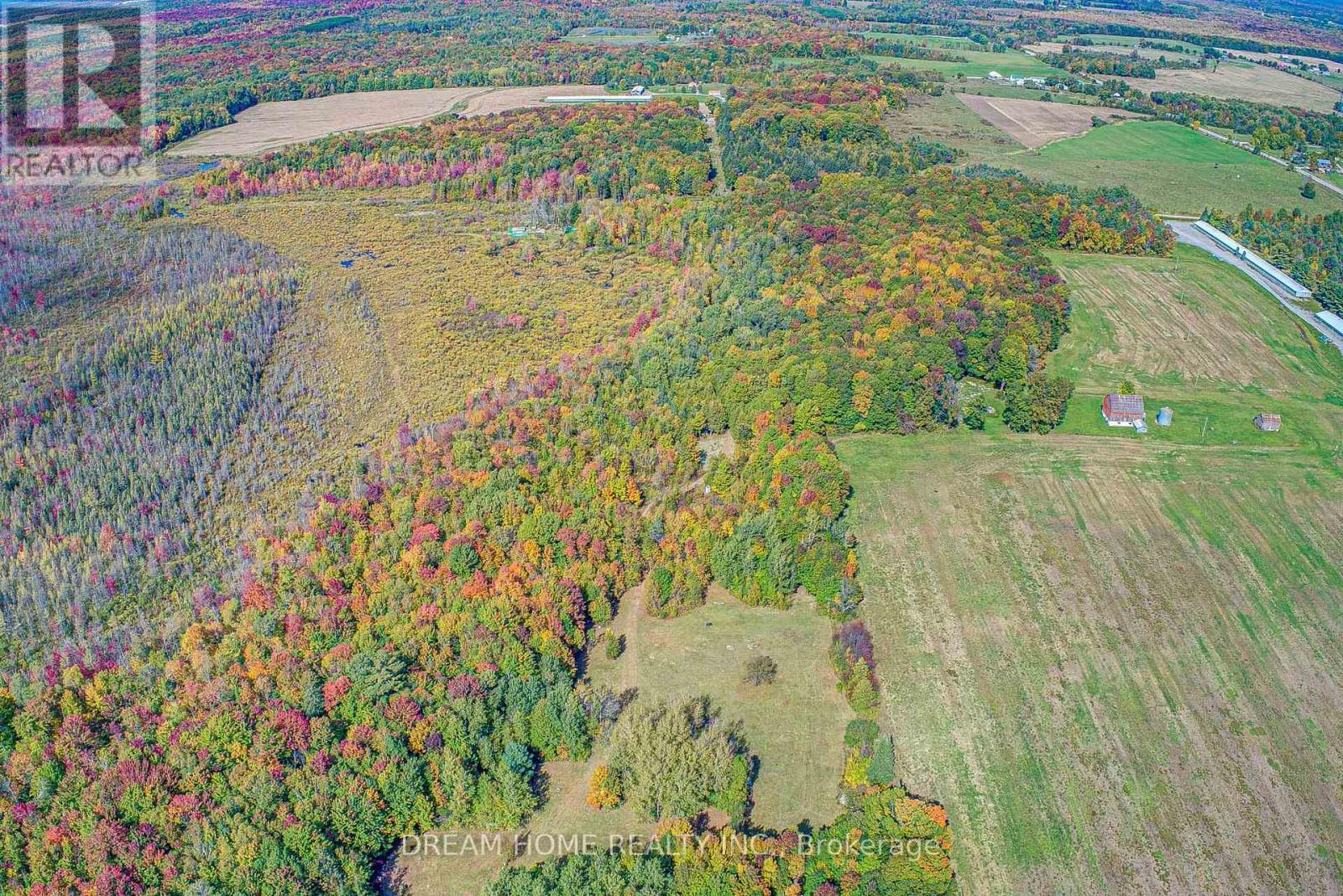 1119 Sajnovic Place, Ramara, ON - Outdoor With View