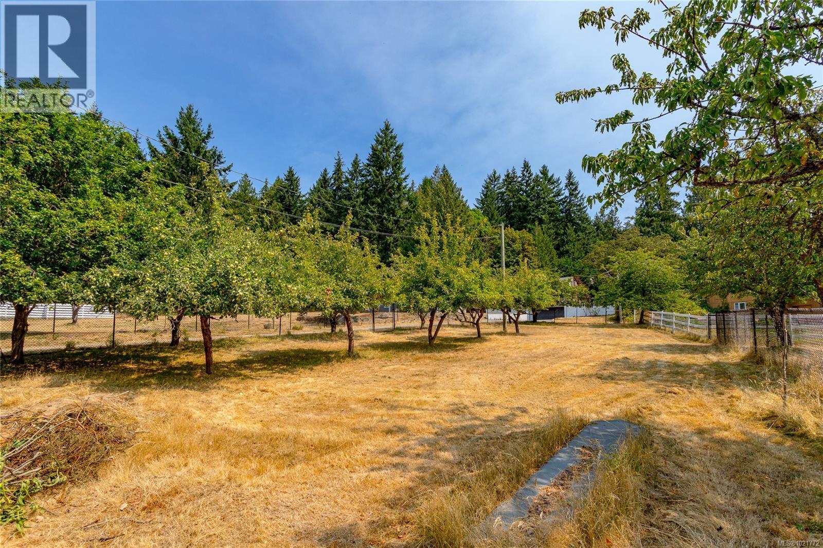 11255 Nitinat Rd, North Saanich, BC - Outdoor With View