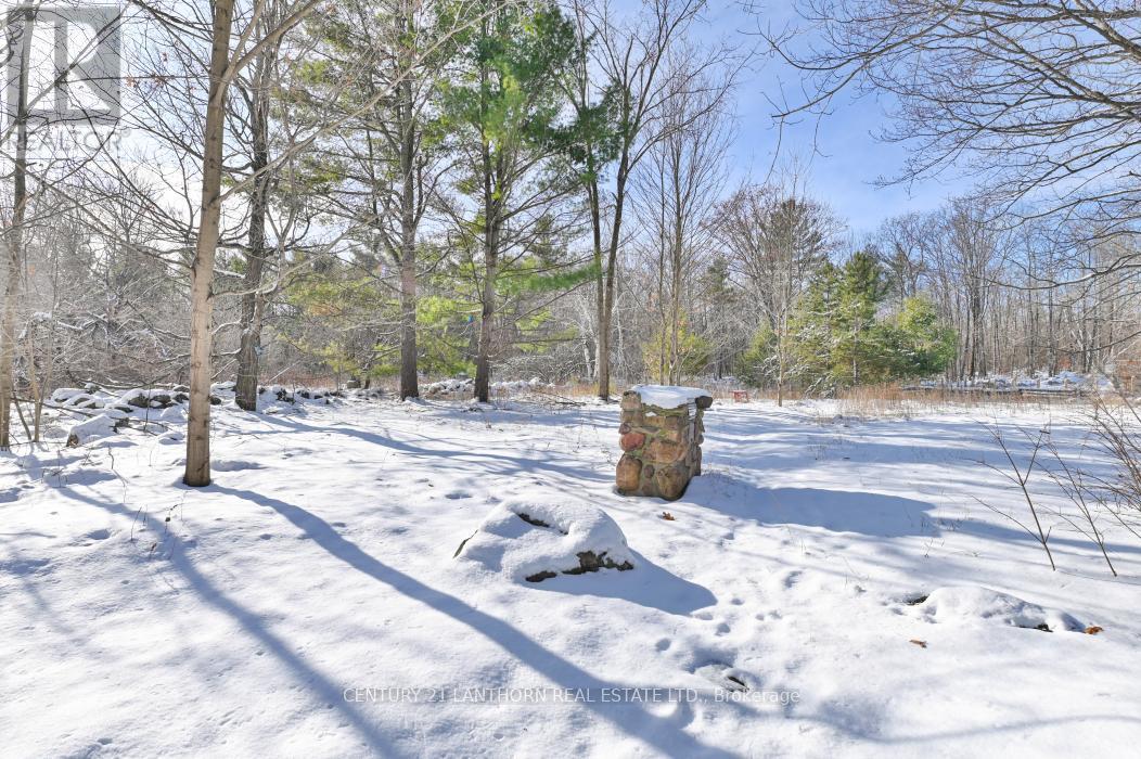 337 Jarvis Road, Madoc, ON - Outdoor With View