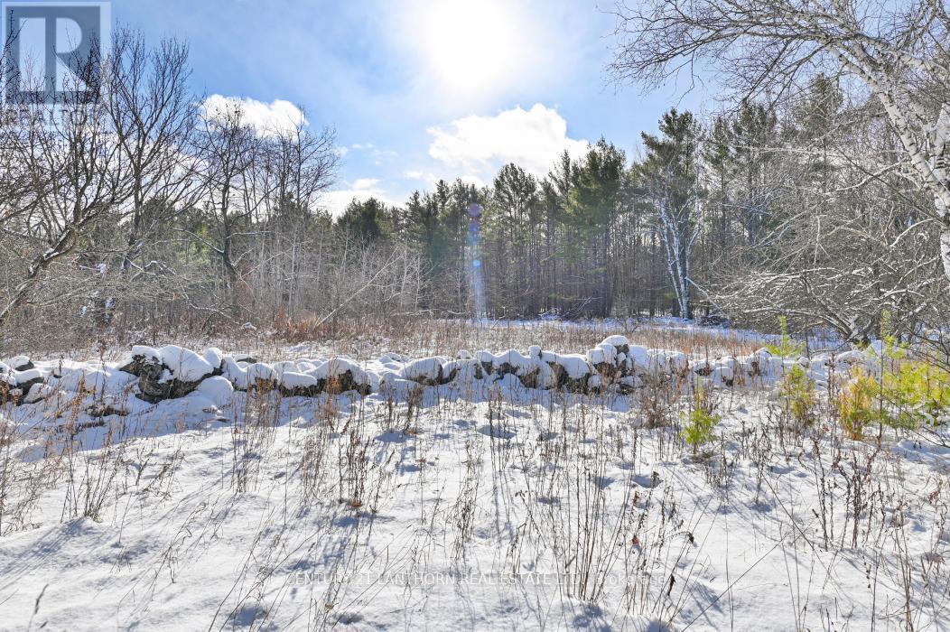 337 Jarvis Road, Madoc, ON - Outdoor With View