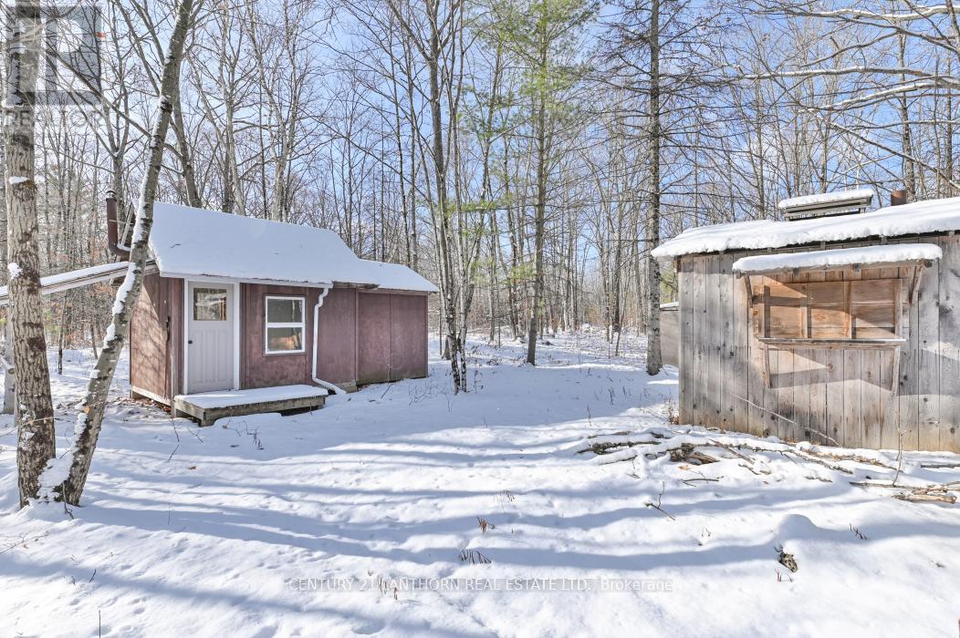 337 Jarvis Road, Madoc, ON - Outdoor