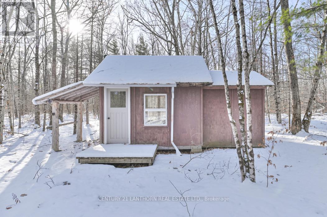337 Jarvis Road, Madoc, ON - Outdoor