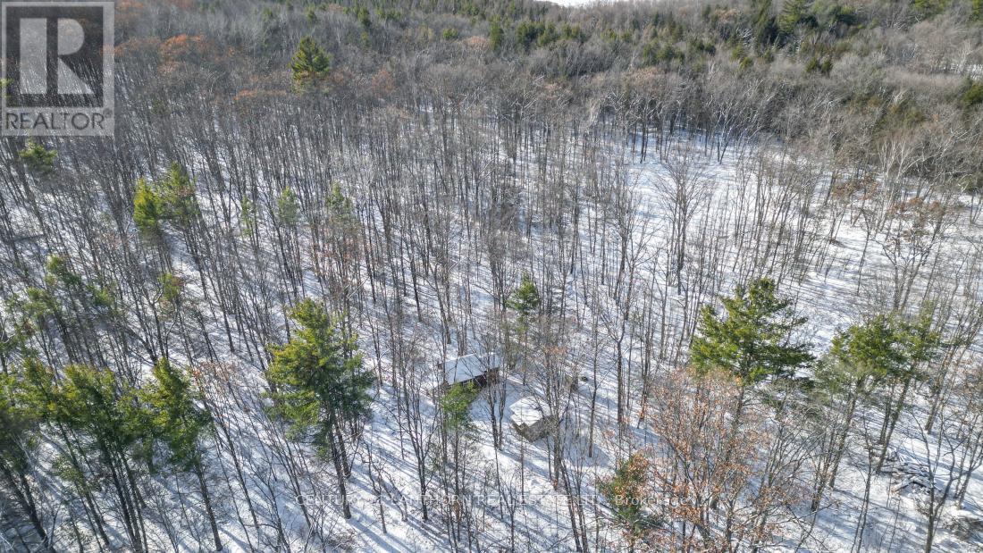 337 Jarvis Road, Madoc, ON - Outdoor With View