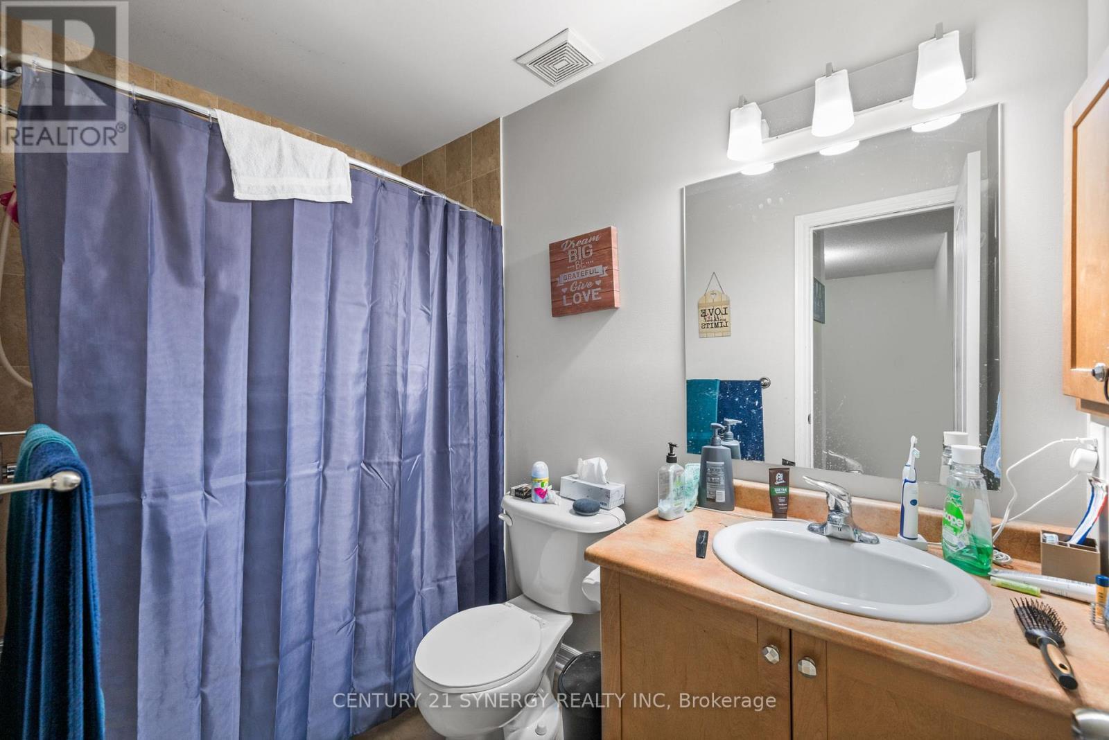148 Talltree Crescent, Ottawa, ON - Indoor Photo Showing Bathroom