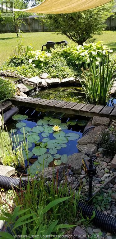 127 Balaclava Street South, Amherstburg, ON - Outdoor