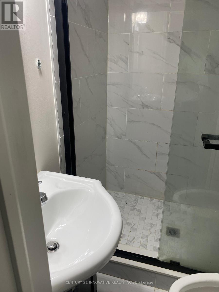 Bsmt - 223 Erindale Avenue, Hamilton, ON - Indoor Photo Showing Bathroom