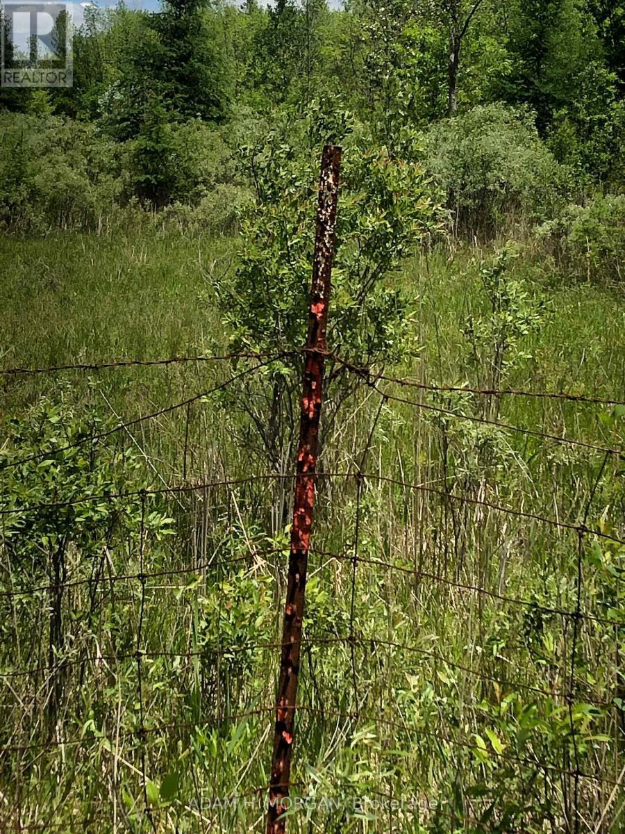 3501 County Rd 15 Road, Augusta, ON