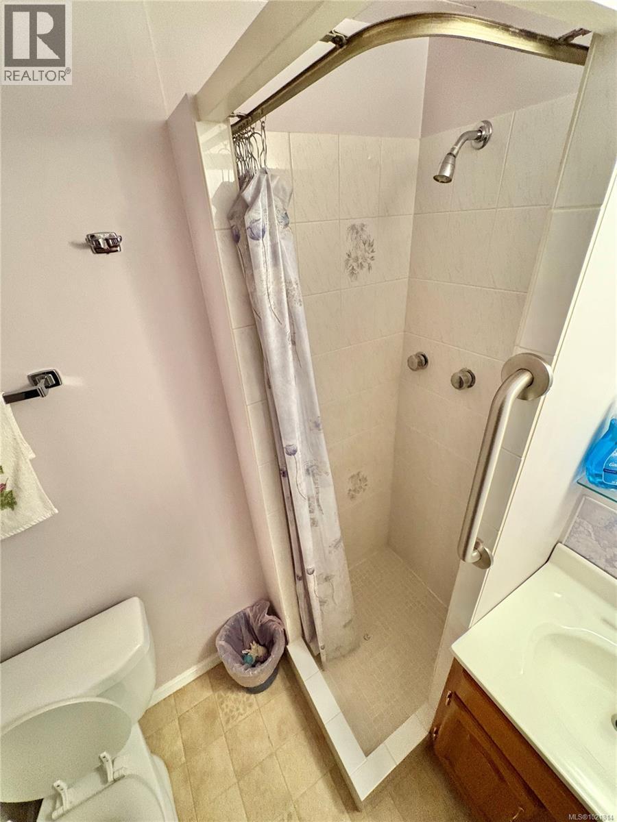 Full bathroom with a shower stall and vanity - 2738 14Th Ave, Port Alberni, BC - Indoor Photo Showing Bathroom