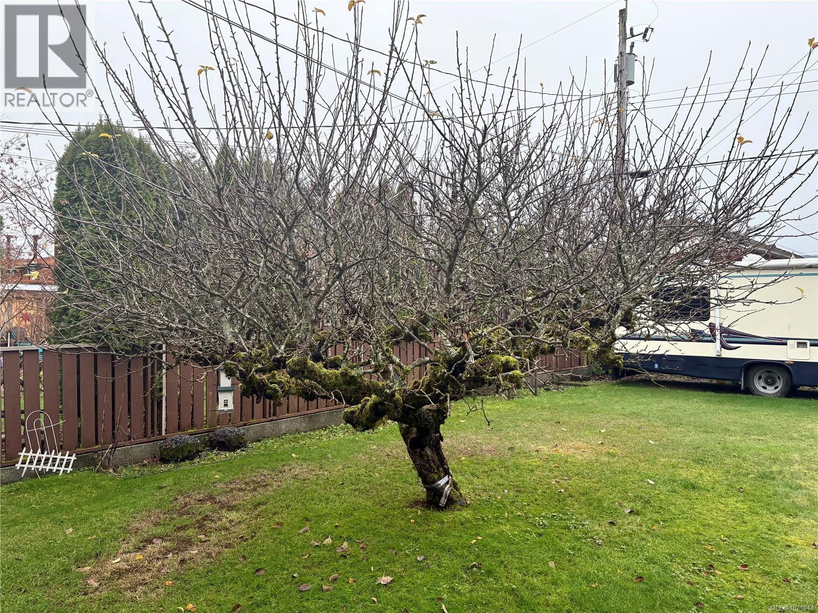 View of yard - 2738 14Th Ave, Port Alberni, BC - Outdoor