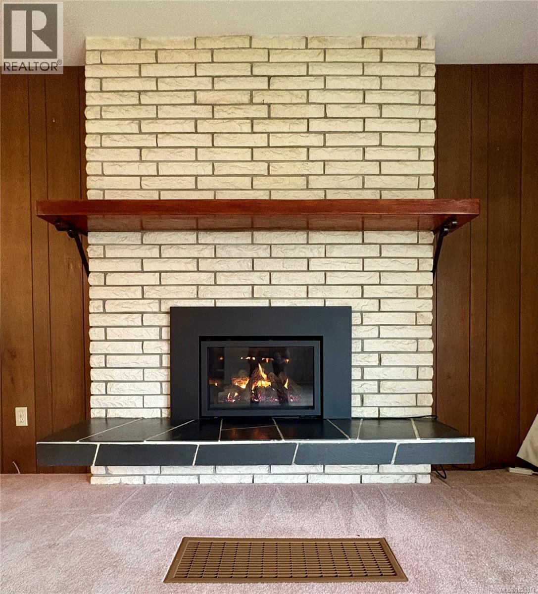 Detailed view of wood walls, a fireplace, and carpet - 2738 14Th Ave, Port Alberni, BC - Indoor Photo Showing Living Room With Fireplace