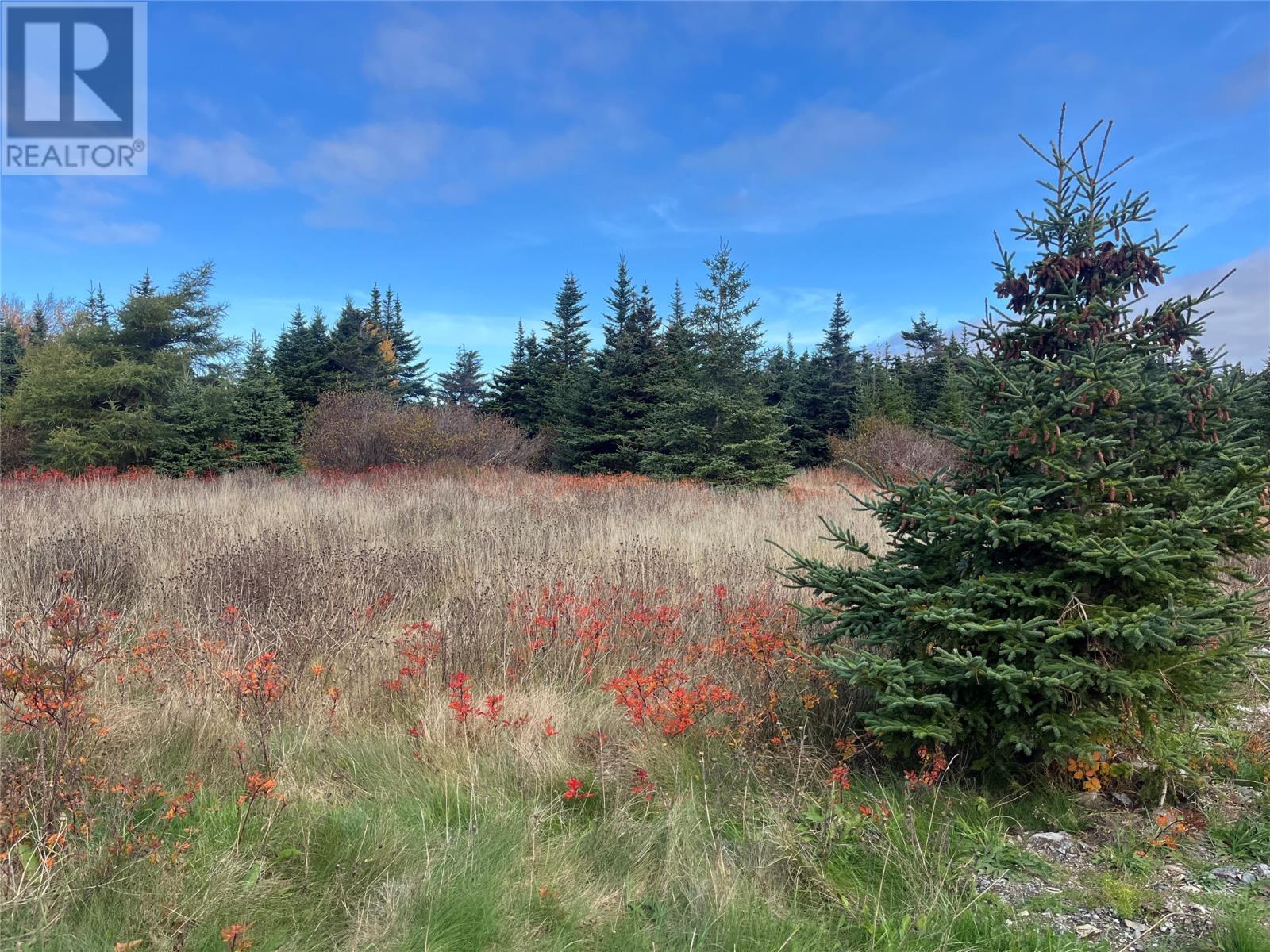 17-25 Bay Ridge Road, Ferryland, NL