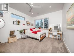 Lower level: 3rd bedroom -