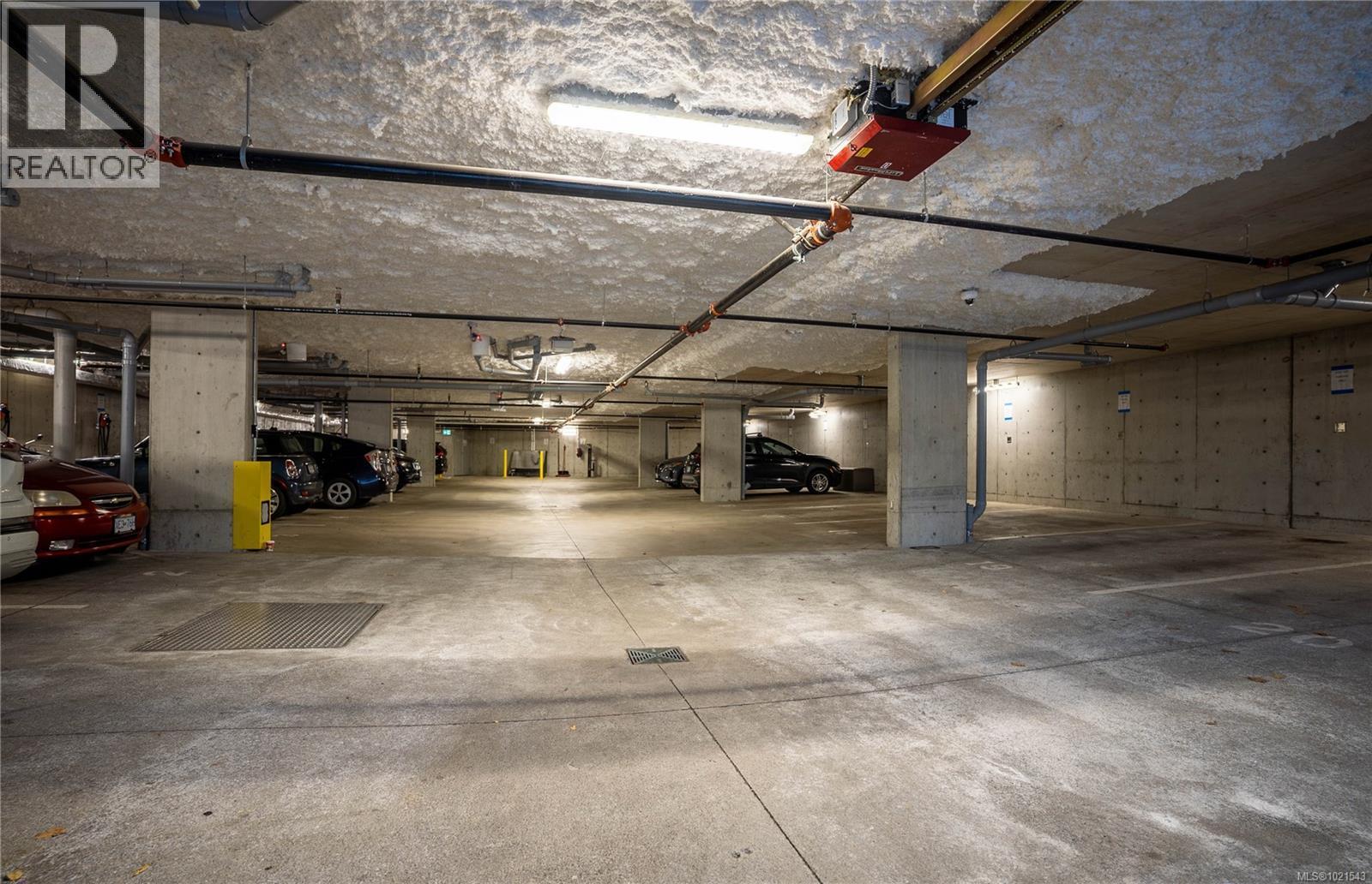 Parking - 1303 Hillside Ave, Victoria, BC