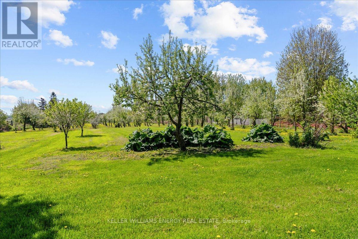 2263 Hwy 2 Highway, Clarington, ON - Outdoor With View
