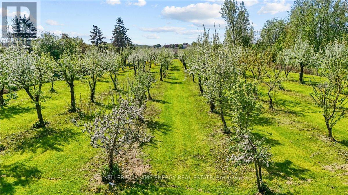 2263 Hwy 2 Highway, Clarington, ON - Outdoor With View