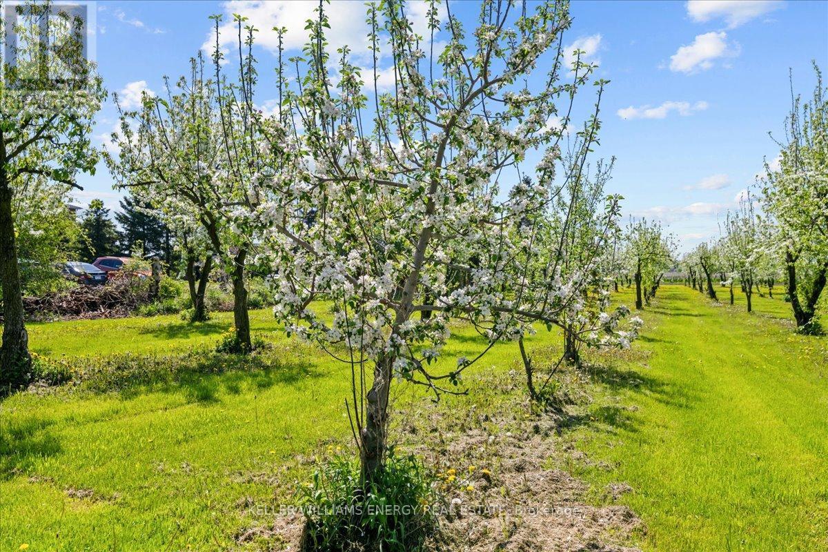 2263 Hwy 2 Highway, Clarington, ON - Outdoor With View