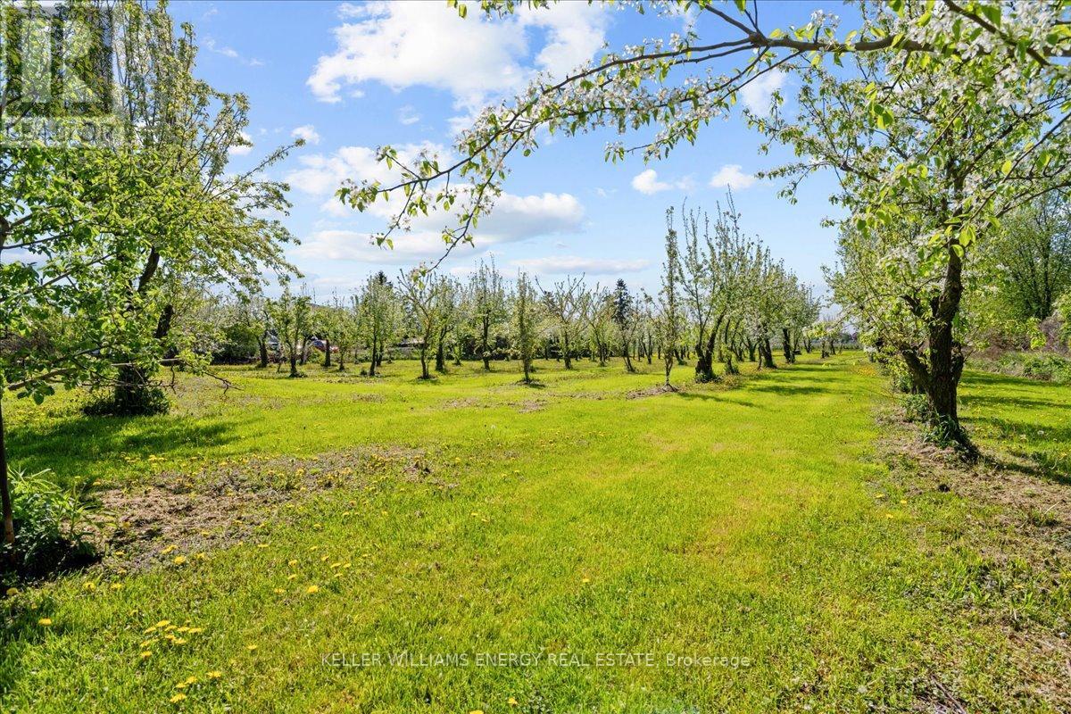 2263 Hwy 2 Highway, Clarington, ON - Outdoor With View