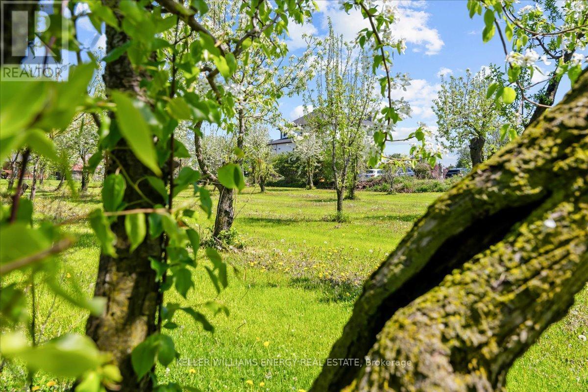 2263 Hwy 2 Highway, Clarington, ON - Outdoor With View