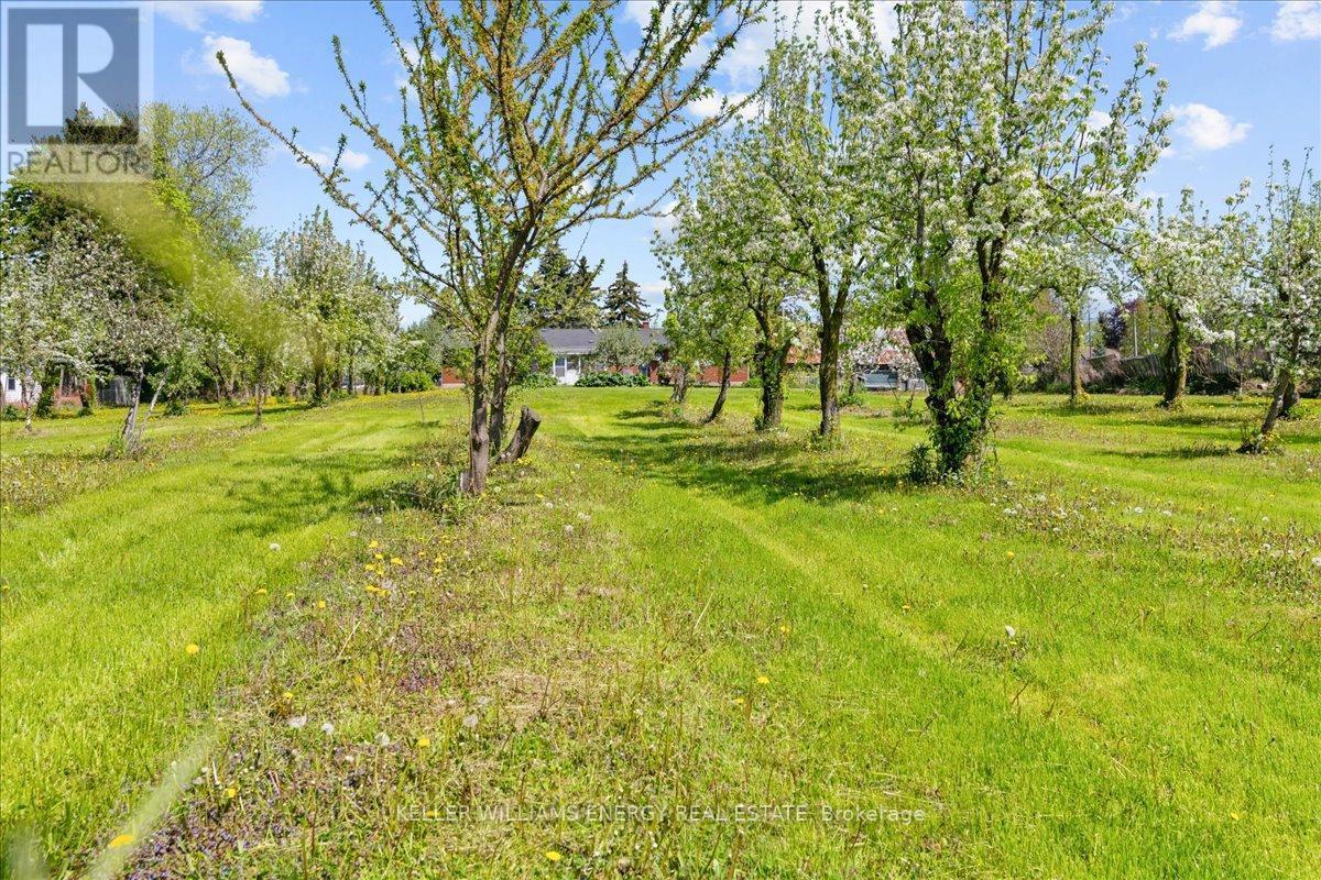 2263 Hwy 2 Highway, Clarington, ON - Outdoor With View