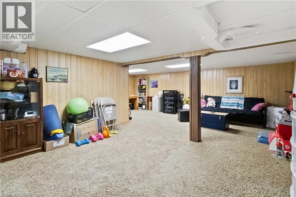 19 Baldwin Avenue, Brantford, ON - Indoor Photo Showing Basement